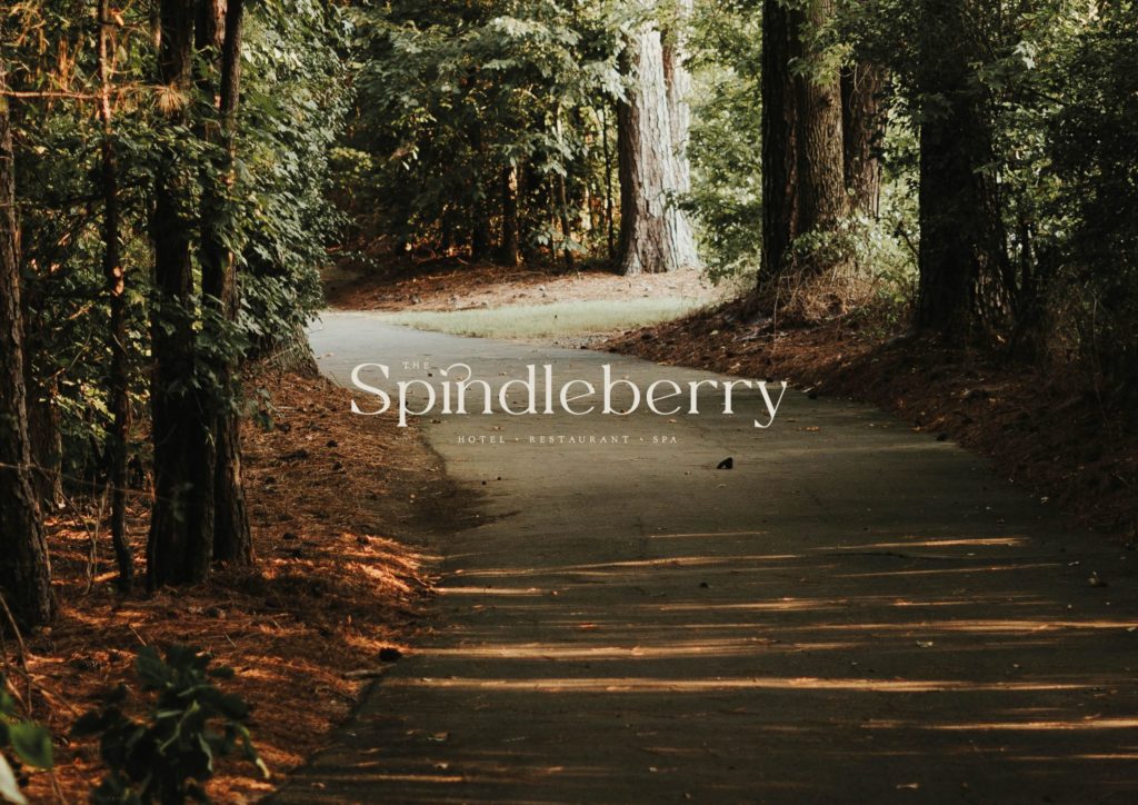 The Spindleberry logo mockup