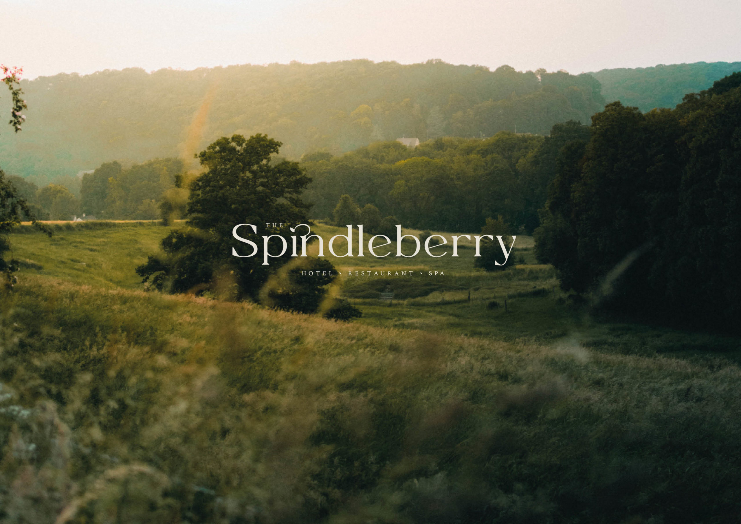 The Spindleberry logo mock up